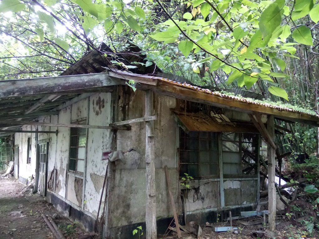 DSC_9618.JPG - 公館  出礦坑登山步道