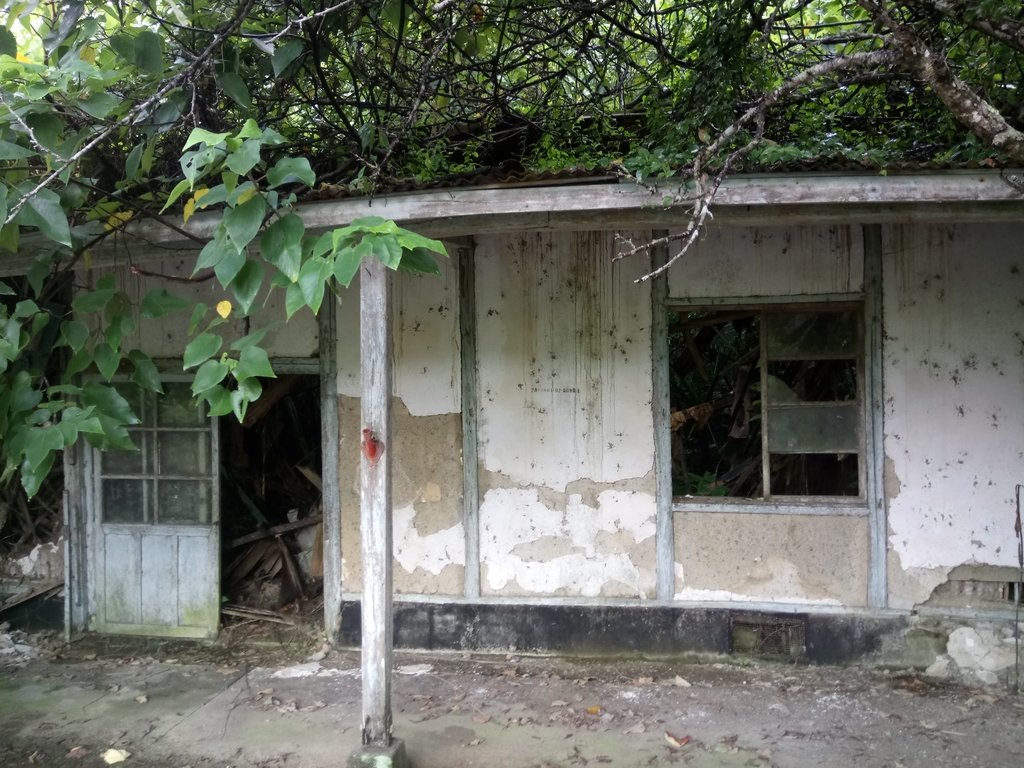 DSC_9613.JPG - 公館  出礦坑登山步道