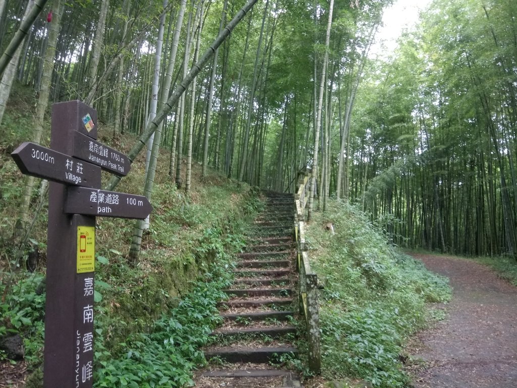 DSC_1224.JPG - 石壁山  嘉南雲峰步道