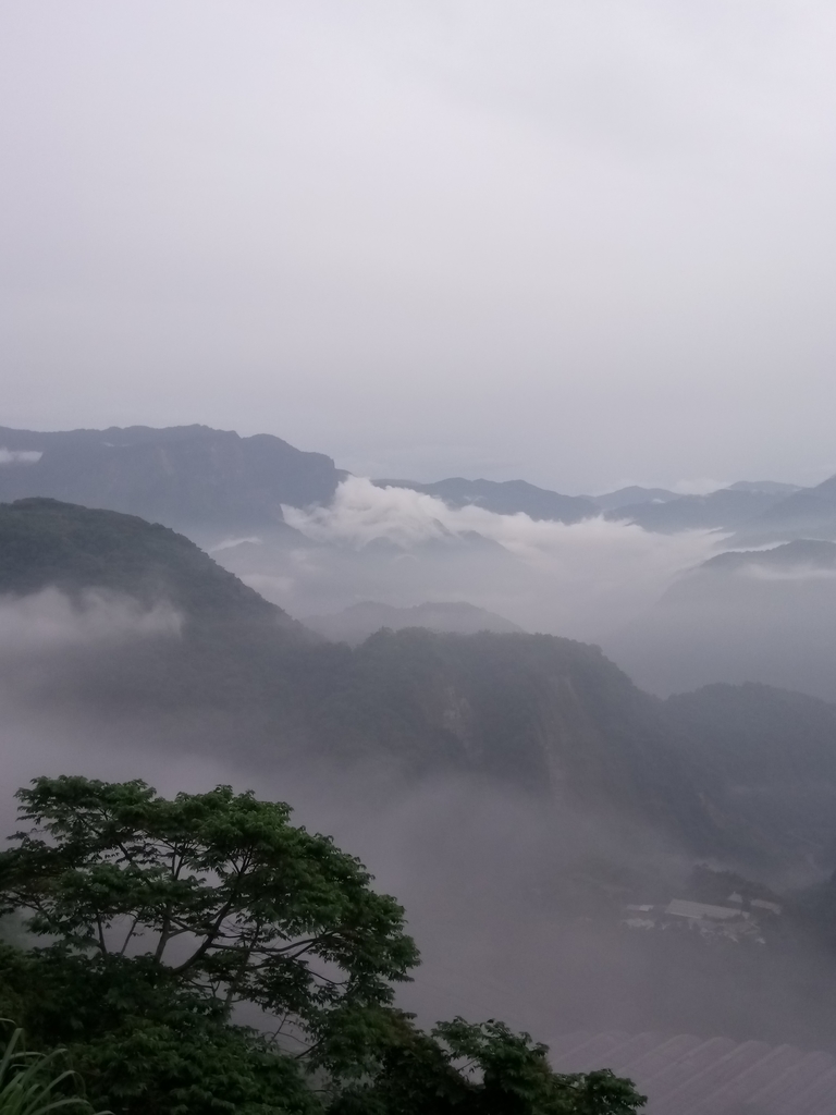 DSC_1390.JPG - 石壁途中之   茶山雲雨