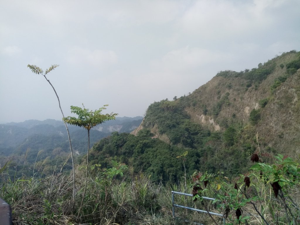 DSC_7369.JPG - 草屯平林  九九峰森林步道