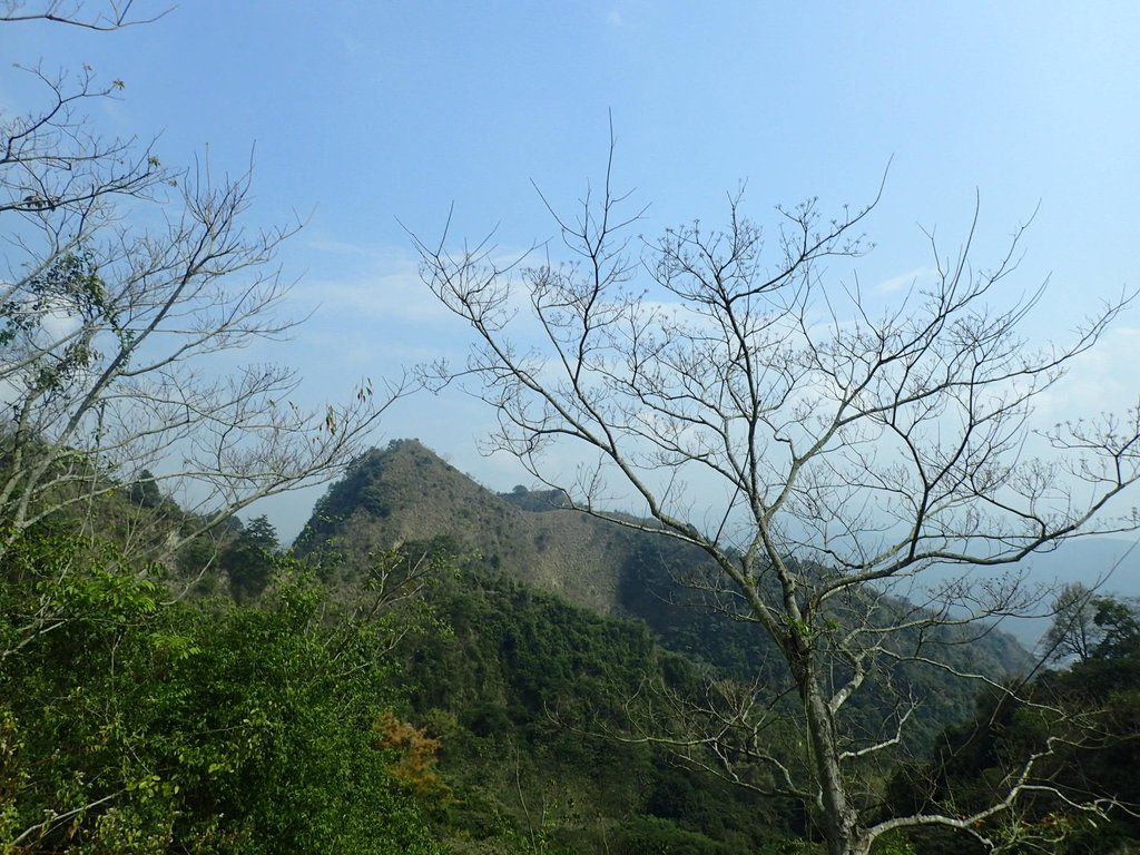 P3016109.JPG - 草屯平林  九九峰森林步道