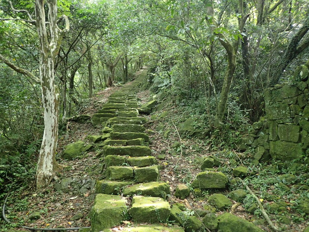 P7062148.JPG - 九份  小粗坑越嶺古道