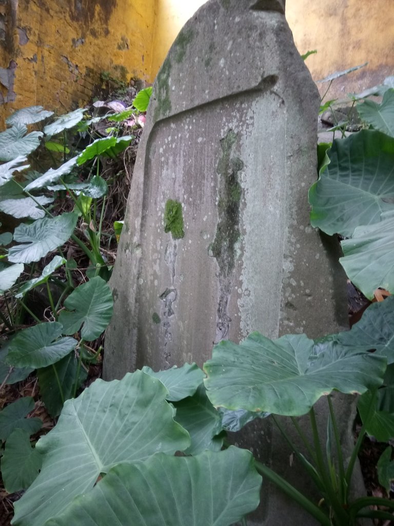 DSC_9183.JPG - 臨濟護國禪寺  日治遺跡巡禮