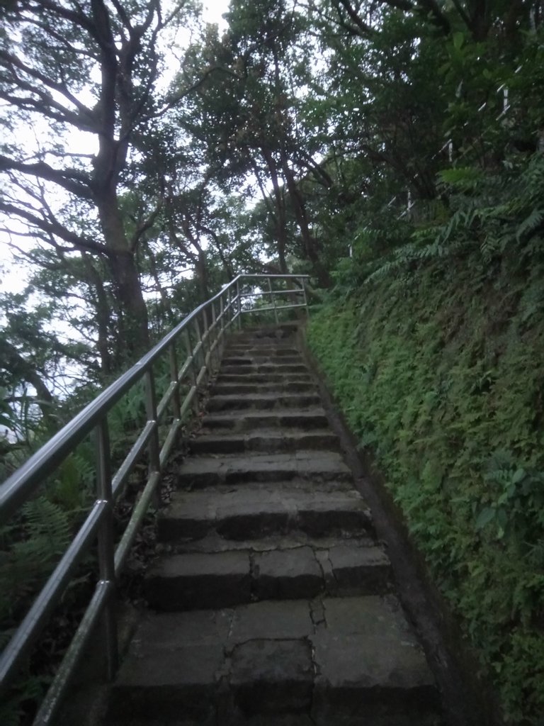 DSC_9260.JPG - 內湖  白鷺鷥山親山步道