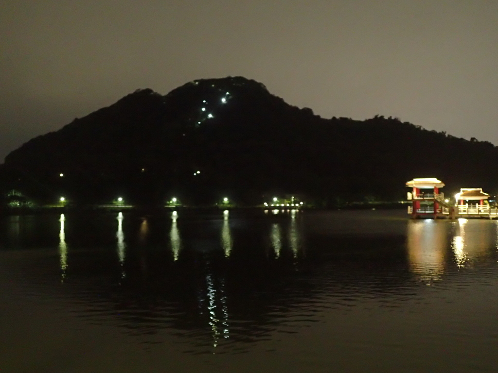 P3117012.JPG - 內湖  大湖公園之夜色