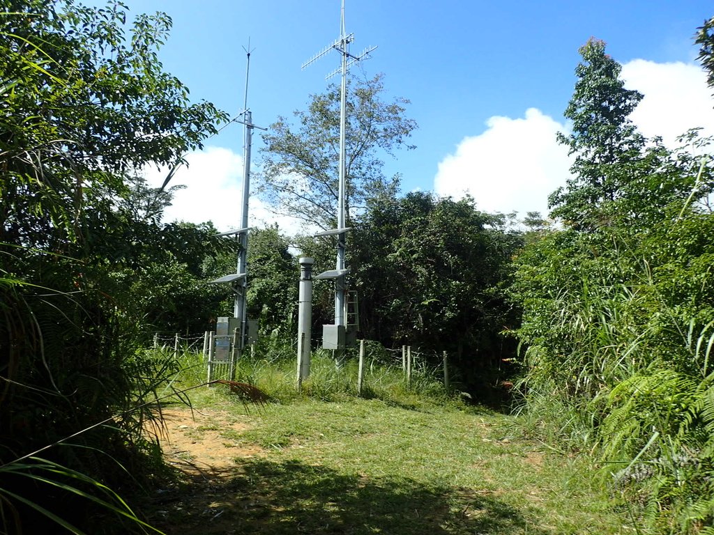 PA040472.JPG - 魚池  大尖山登山步道