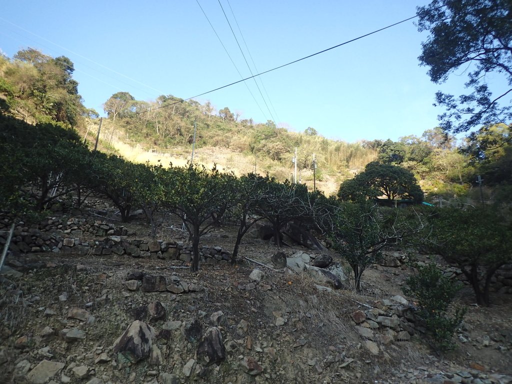 P2216668.JPG - 谷關  阿冷山步道