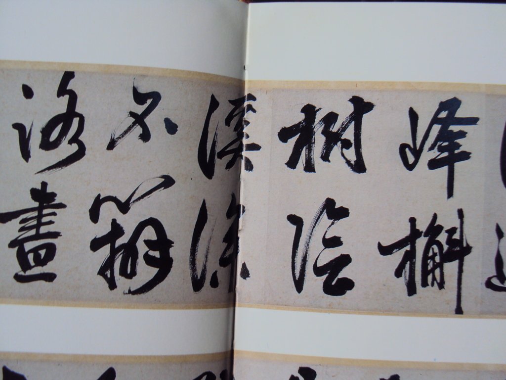 DSC00953.JPG - 王問  草書作品