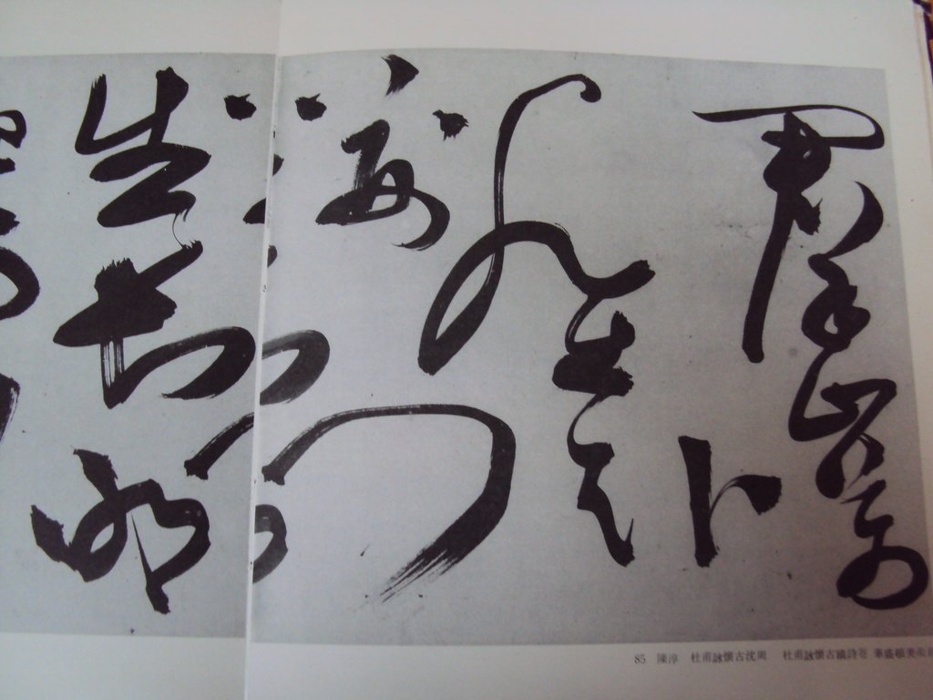 DSC00225.JPG - 陳淳的草書作品