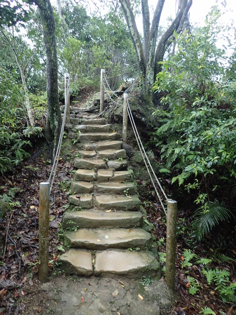 P1062045.JPG - 土城  天上山  登山步道