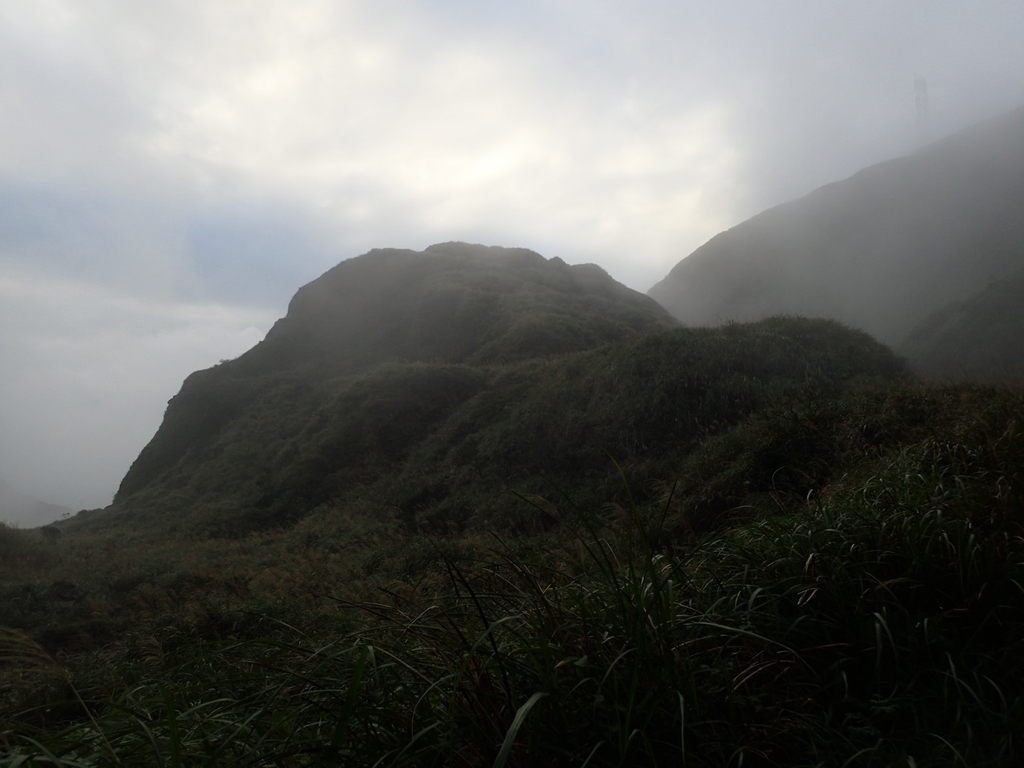 P1203426.JPG - 瑞芳  牡丹山