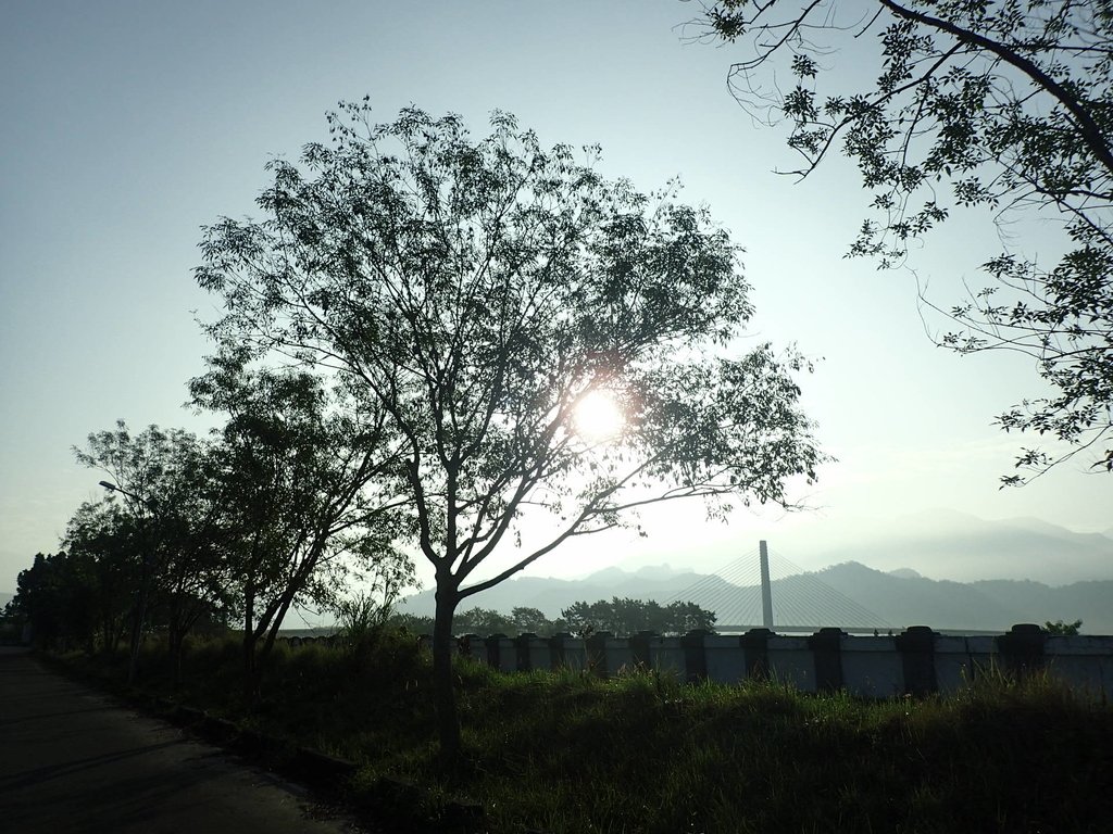 P1073097.JPG - 集集  集鹿大橋  晨光之美