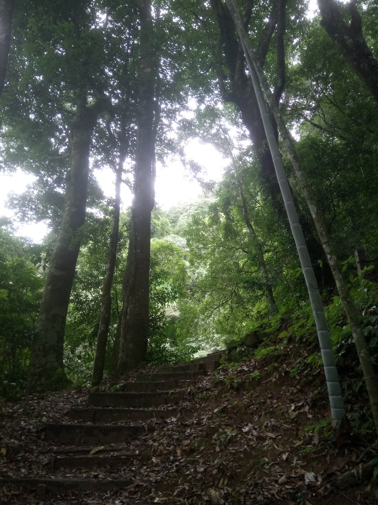 DSC_1237.JPG - 石壁山  嘉南雲峰步道