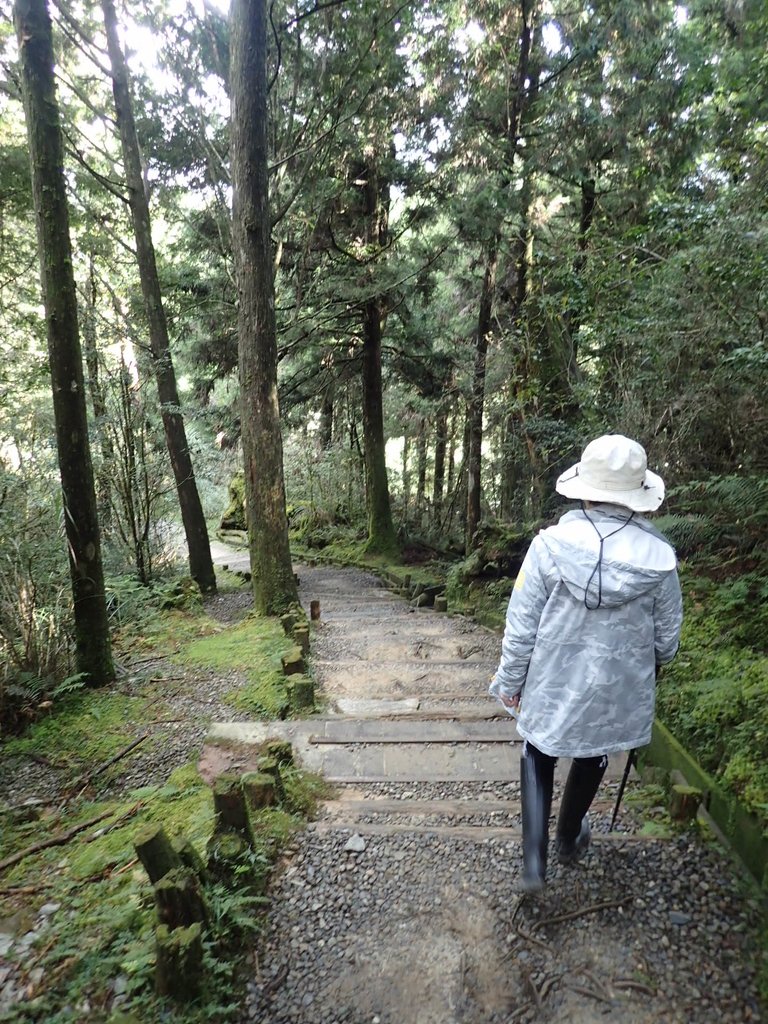 PB265507.JPG - 太平山  翠峰湖環山步道  02