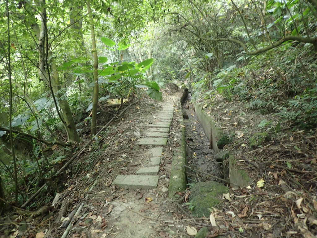 PA171291.JPG - 鹿谷  長源圳古道