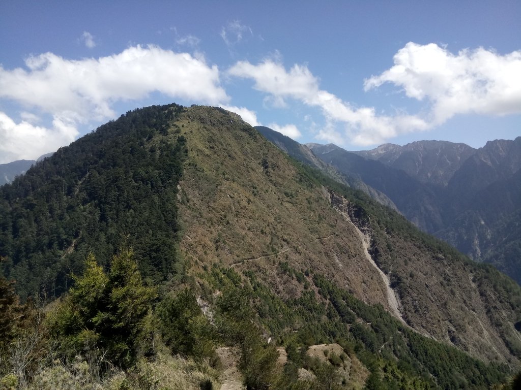 DSC_1718.JPG - 鹿林山  麟趾山步道  (02)