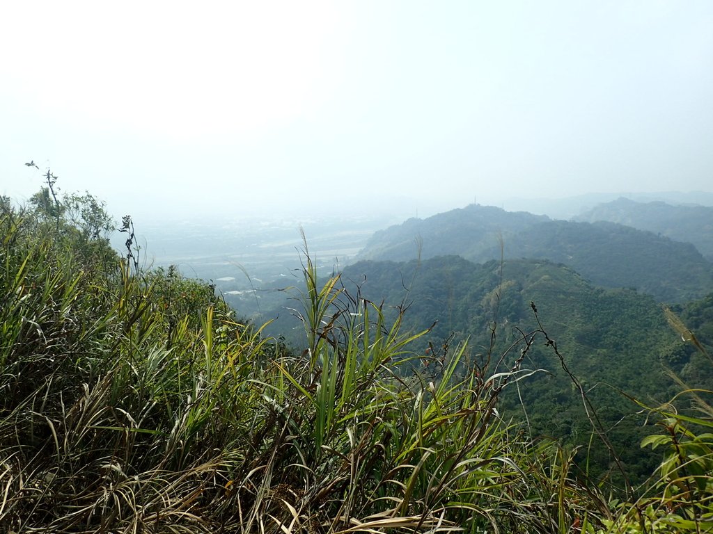 P3016110.JPG - 草屯平林  九九峰森林步道