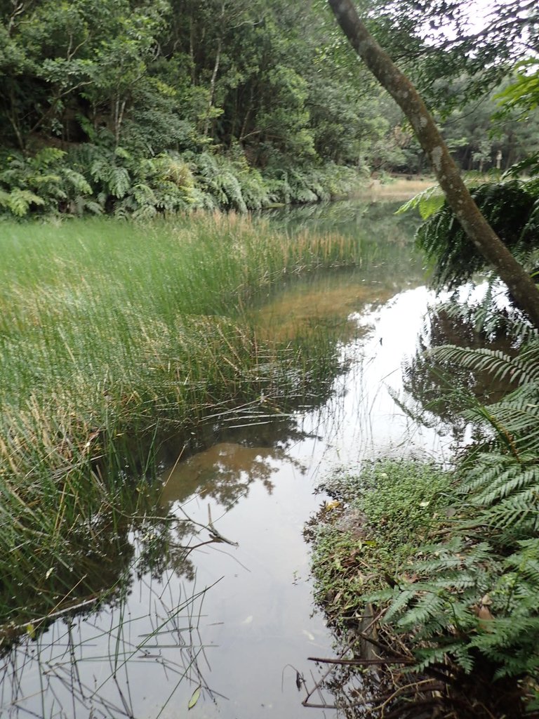 P3160100.JPG - 汐止  柯子林山  如意湖