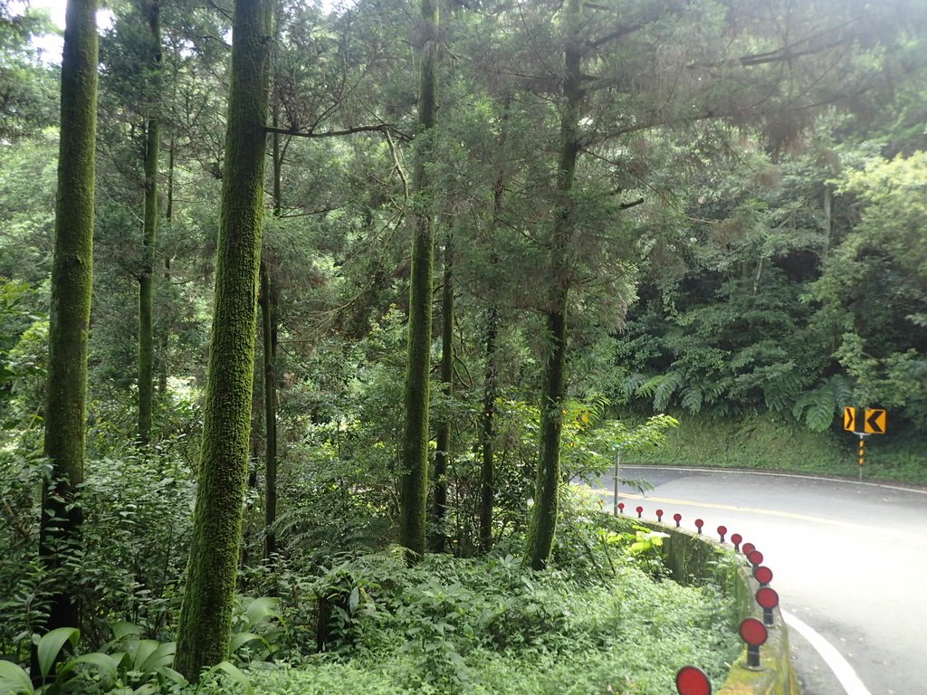 P7203896.JPG - 平溪  五分山登山步道