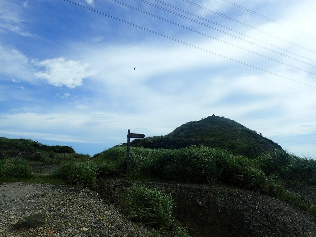 P6090278.JPG - 瑞芳  小金瓜山露頭