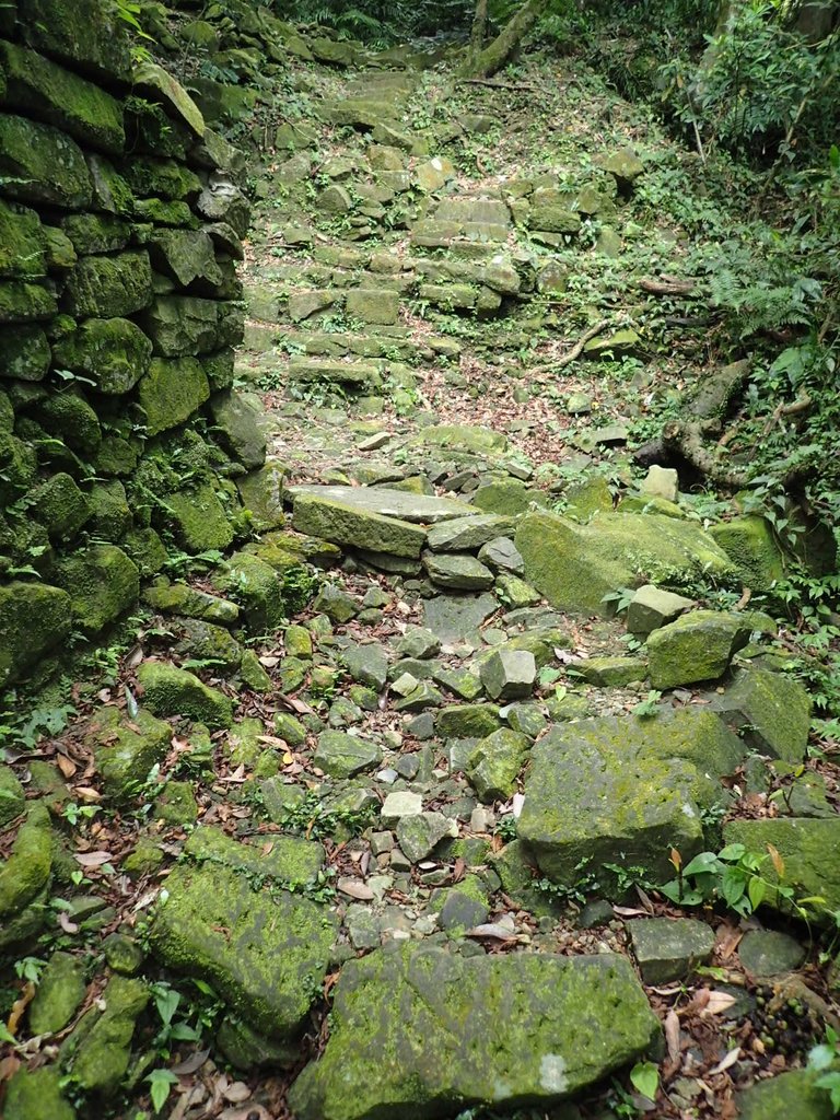 P7062151.JPG - 九份  小粗坑越嶺古道