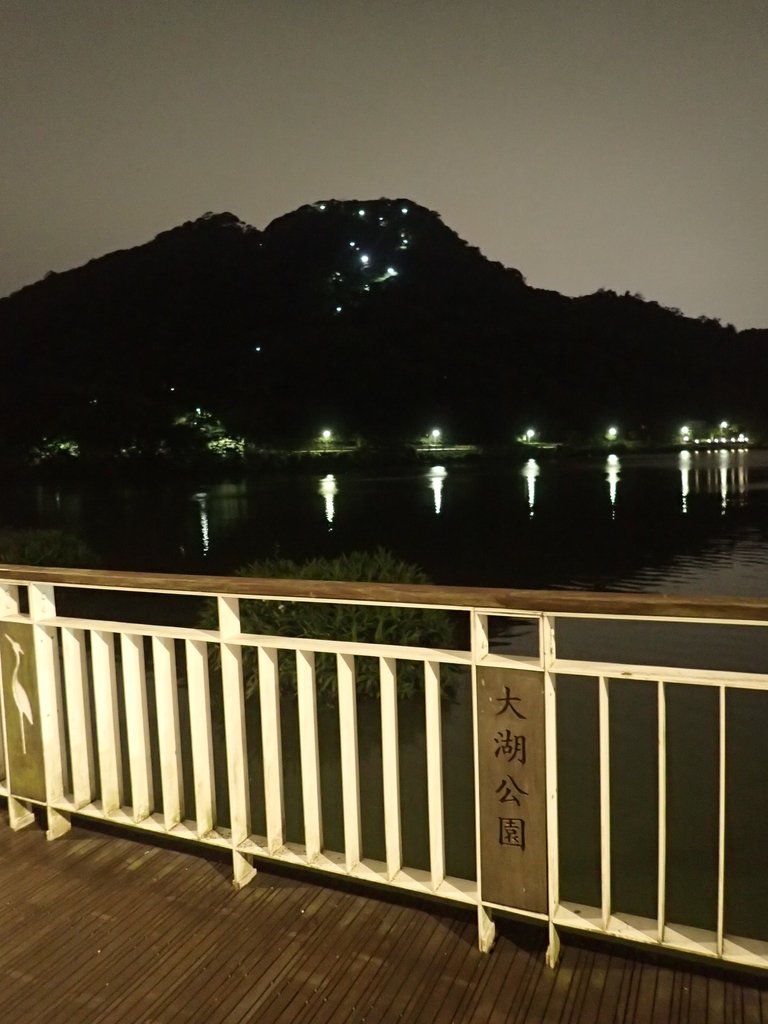 P3117021.JPG - 內湖  大湖公園之夜色