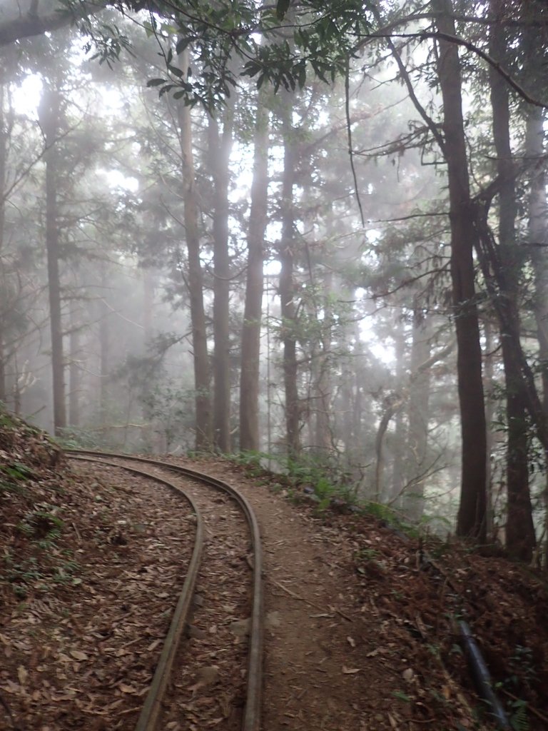 P2035029.JPG - 南庄  加里山  森林鐵道