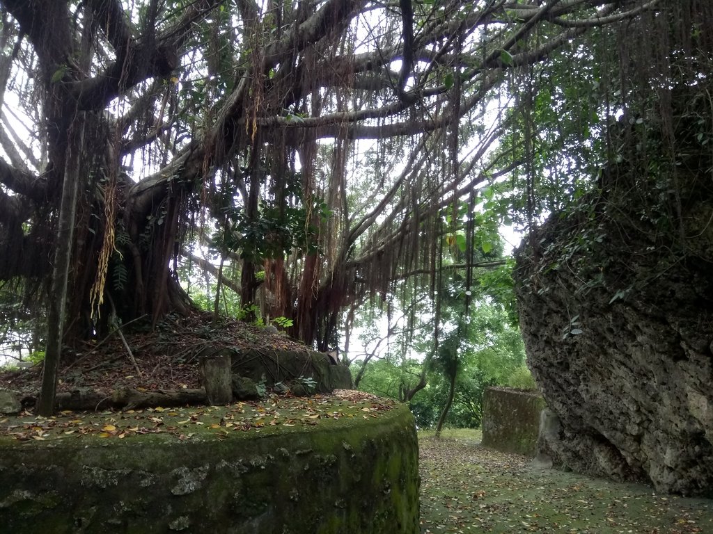 DSC_2124.JPG - 岡山  大崗山  超峰寺