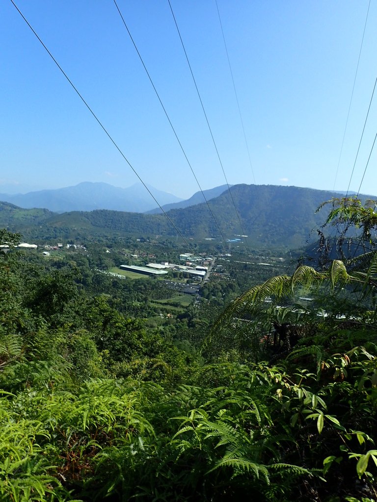 PA040356.JPG - 魚池  過坑山登山步道