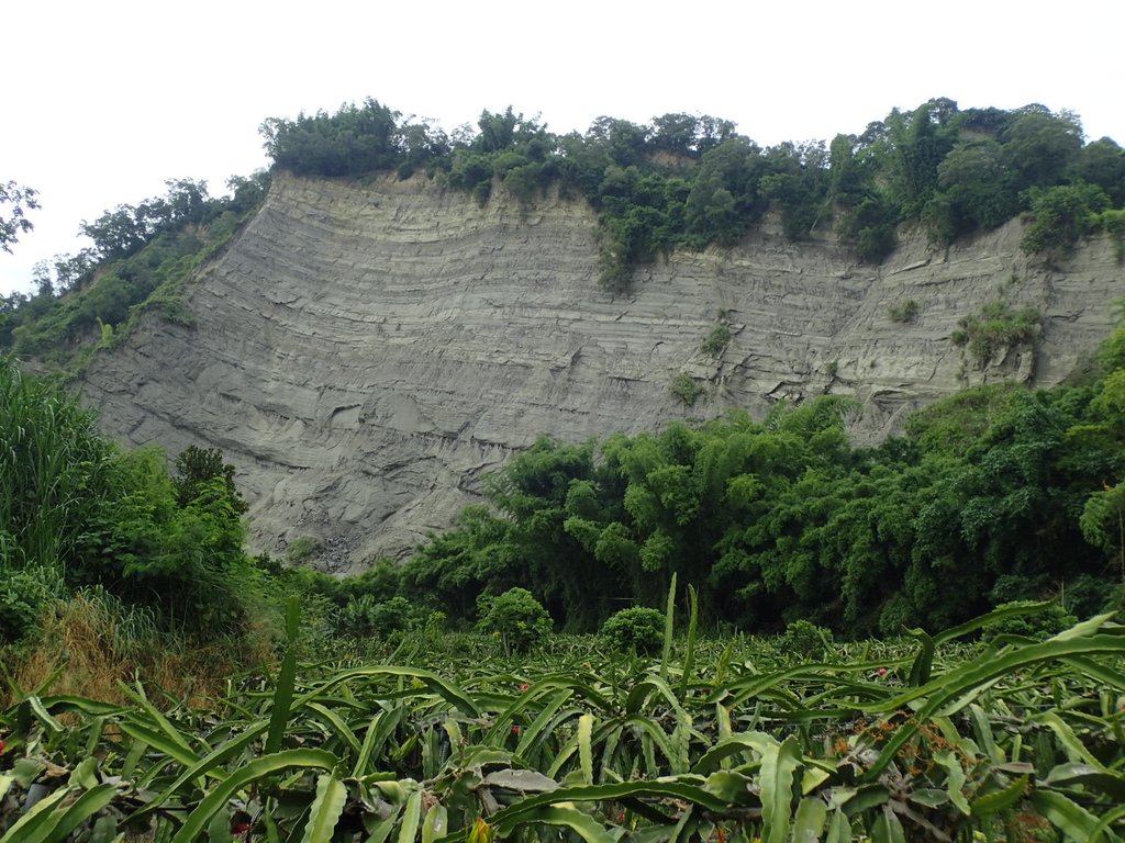 P6284990.JPG - 霧峰  烏溪北岸之  象鼻坑風光