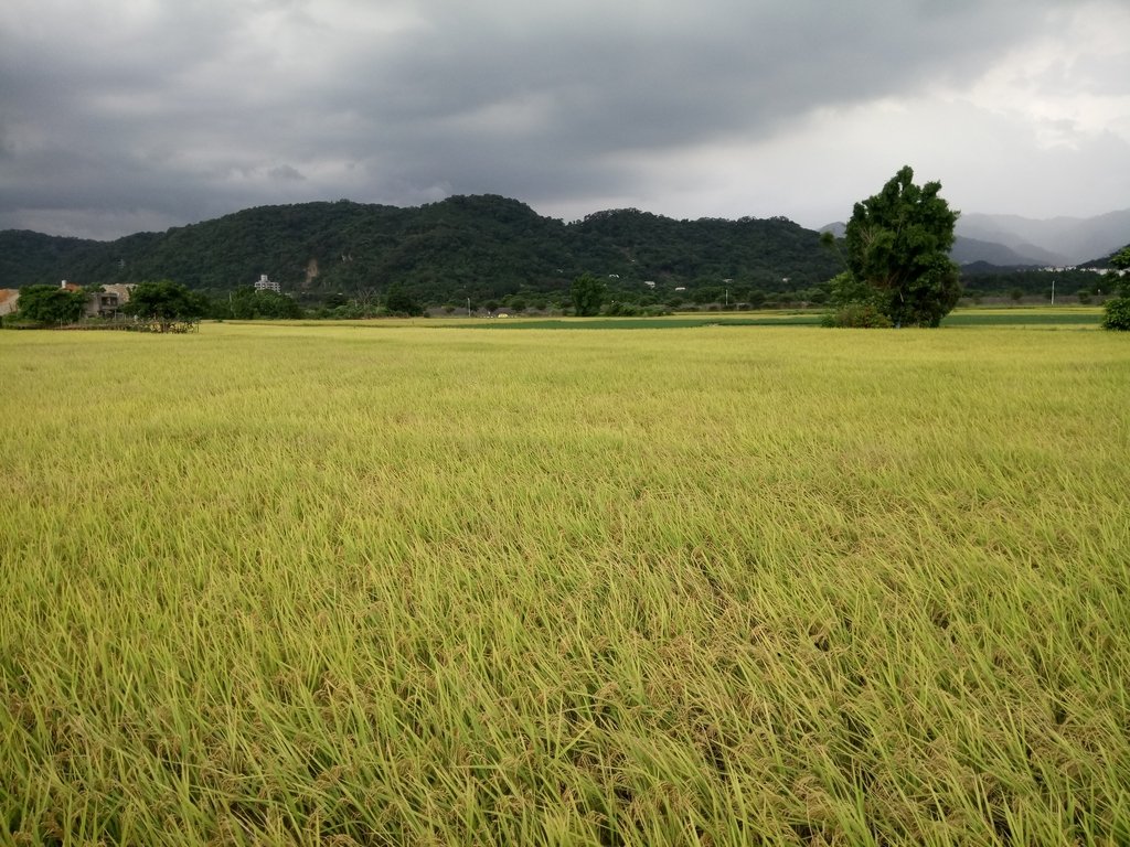 DSC_3108.JPG - 大溪  街路隨拍  (01)