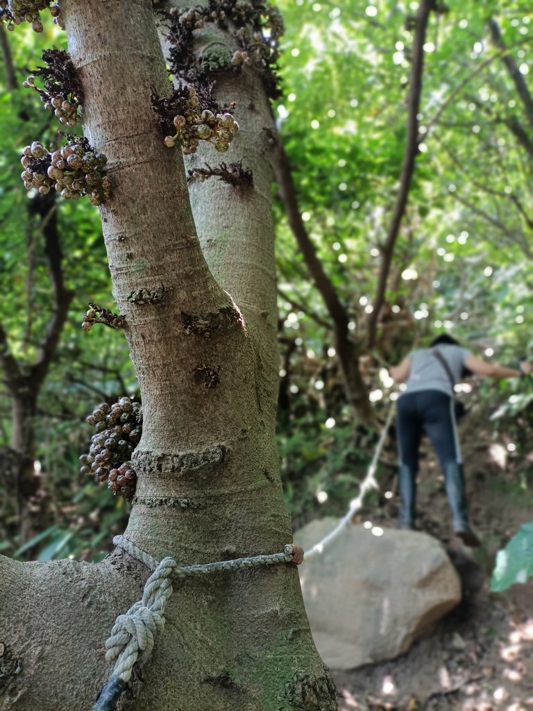 IMG20210430120922.jpg - 瑞芳  雞籠山東峰  (雷霆峰)