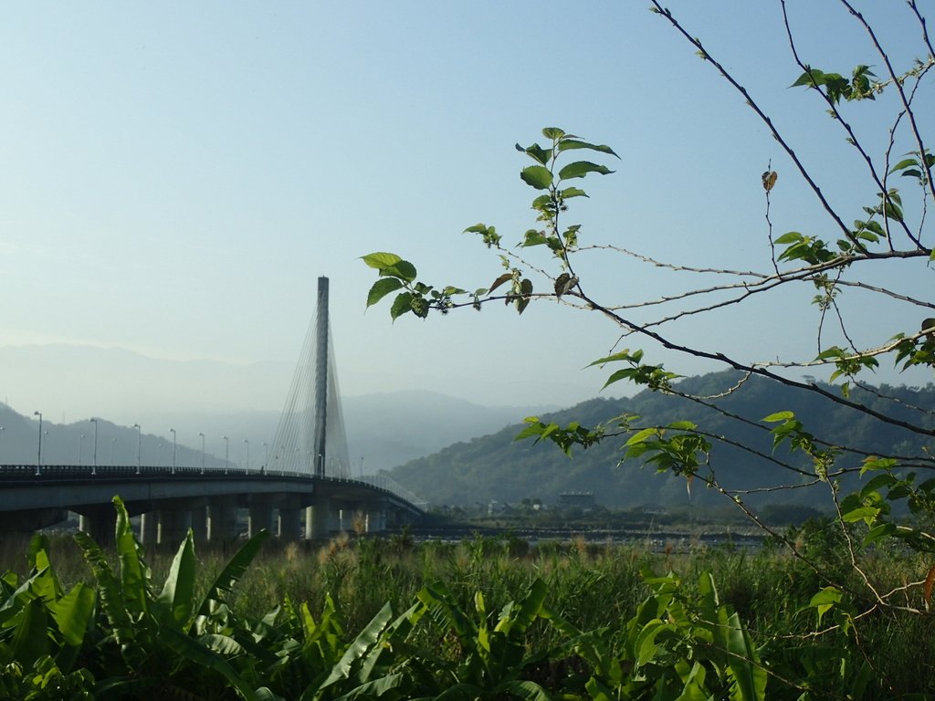 P1073102.JPG - 集集  集鹿大橋  晨光之美