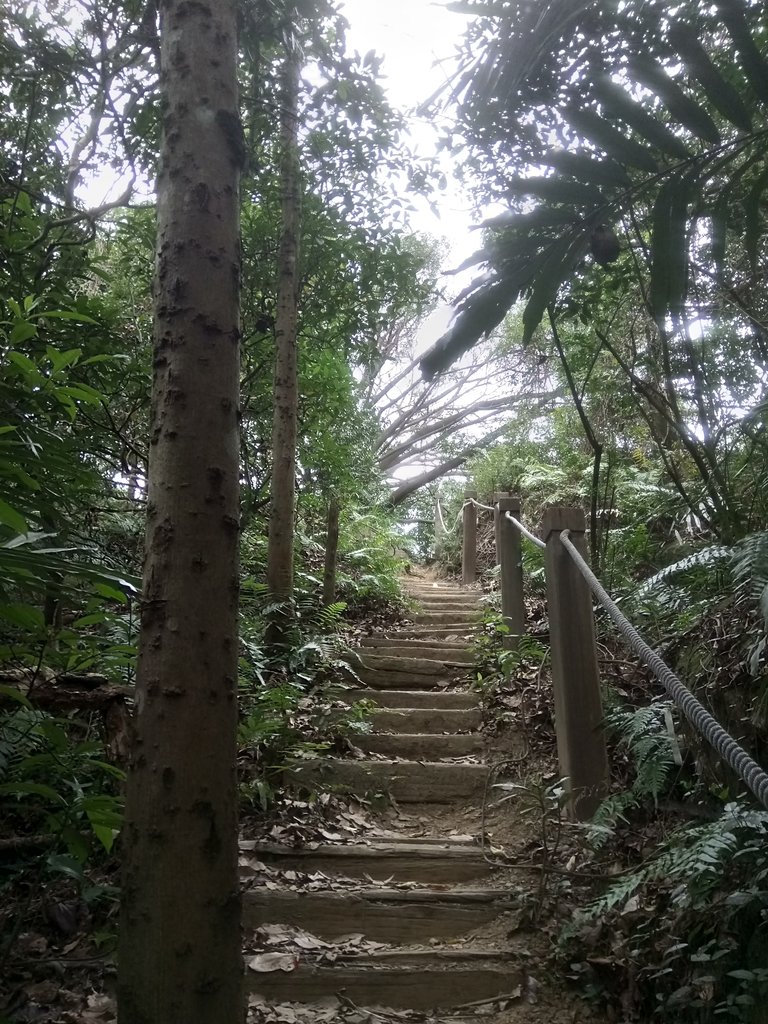 DSC_5129.JPG - 三峽  鳶尾山登山步道