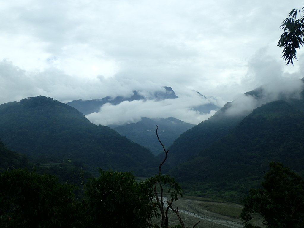 PA231641.JPG - 草嶺  茄苳步道  峭壁雄風