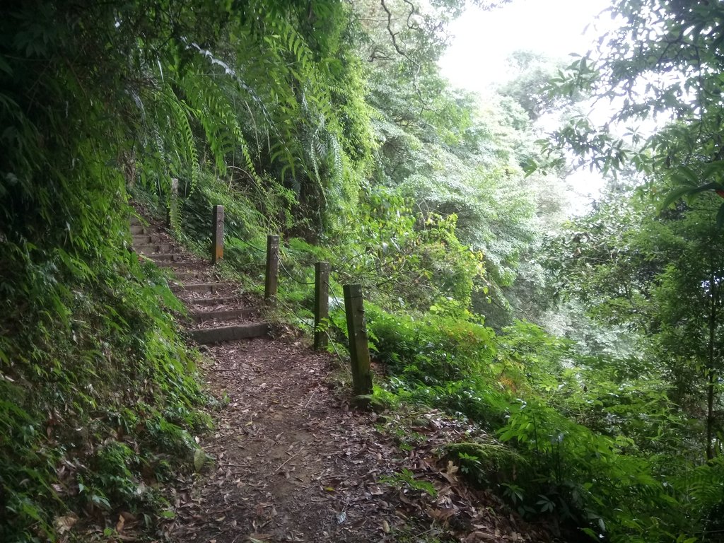 DSC_1238.JPG - 石壁山  嘉南雲峰步道