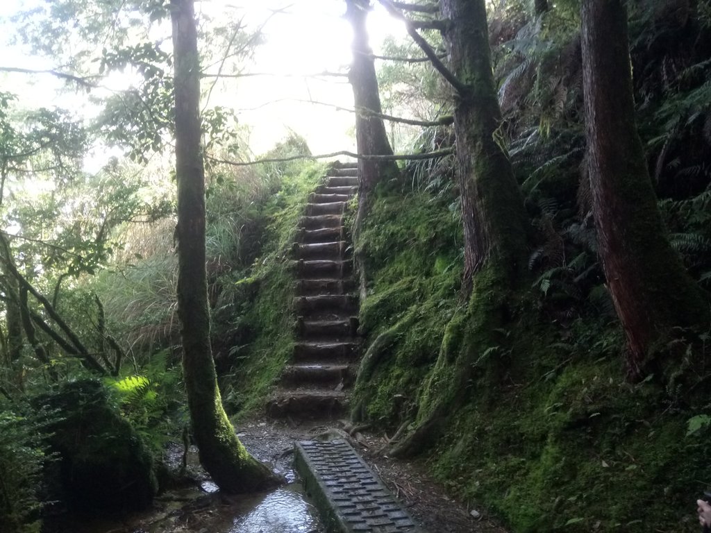 DSC_0101.JPG - 太平山  翠峰湖環山步道  01