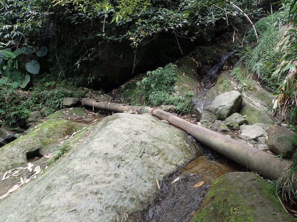PA171292.JPG - 鹿谷  長源圳古道