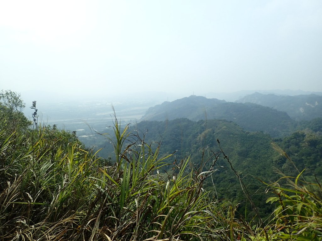 P3016111.JPG - 草屯平林  九九峰森林步道