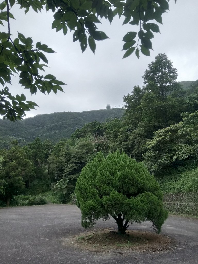 DSC_6601.JPG - 平溪  五分山登山步道