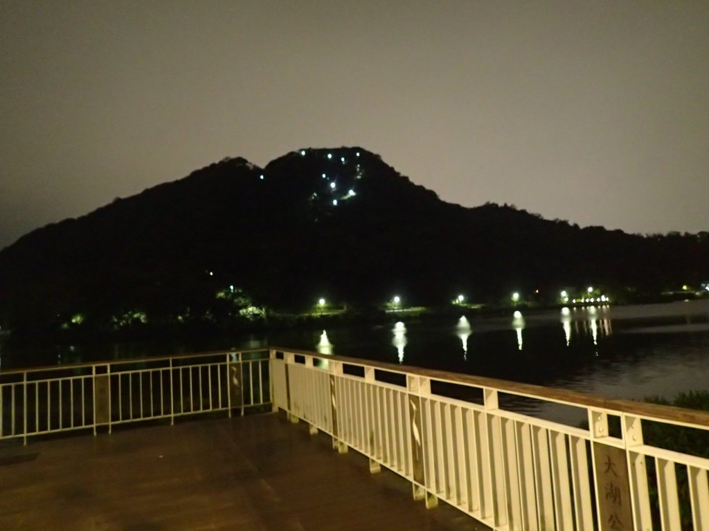 P3117022.JPG - 內湖  大湖公園之夜色