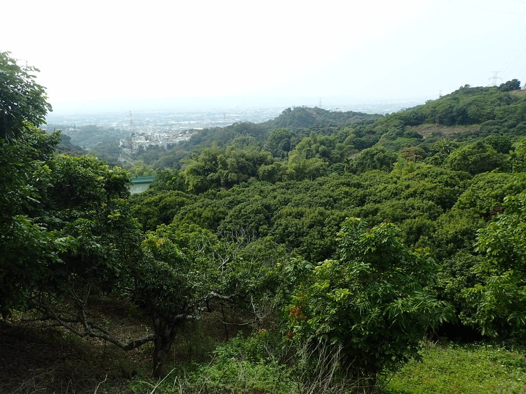 P2095077.JPG - 霧峰  阿罩霧山