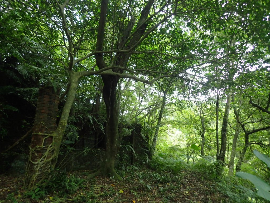 P9240107.JPG - 汐止  北港二坑礦場遺址