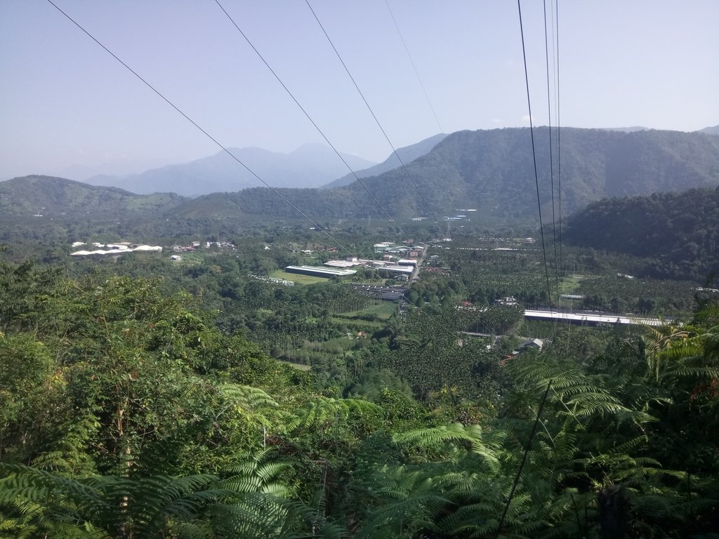 DSC_4013.JPG - 魚池  過坑山登山步道