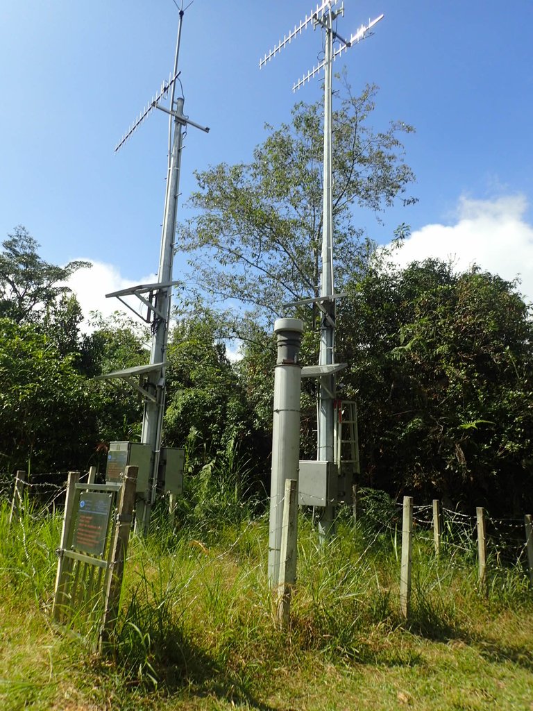 PA040475.JPG - 魚池  大尖山登山步道