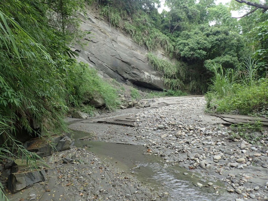 P6284992.JPG - 霧峰  烏溪北岸之  象鼻坑風光