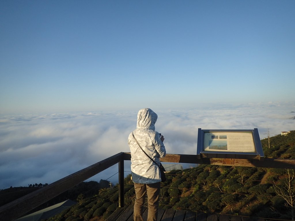 P1076395.JPG - 鹿谷  大崙山  觀霧亭之  暮光