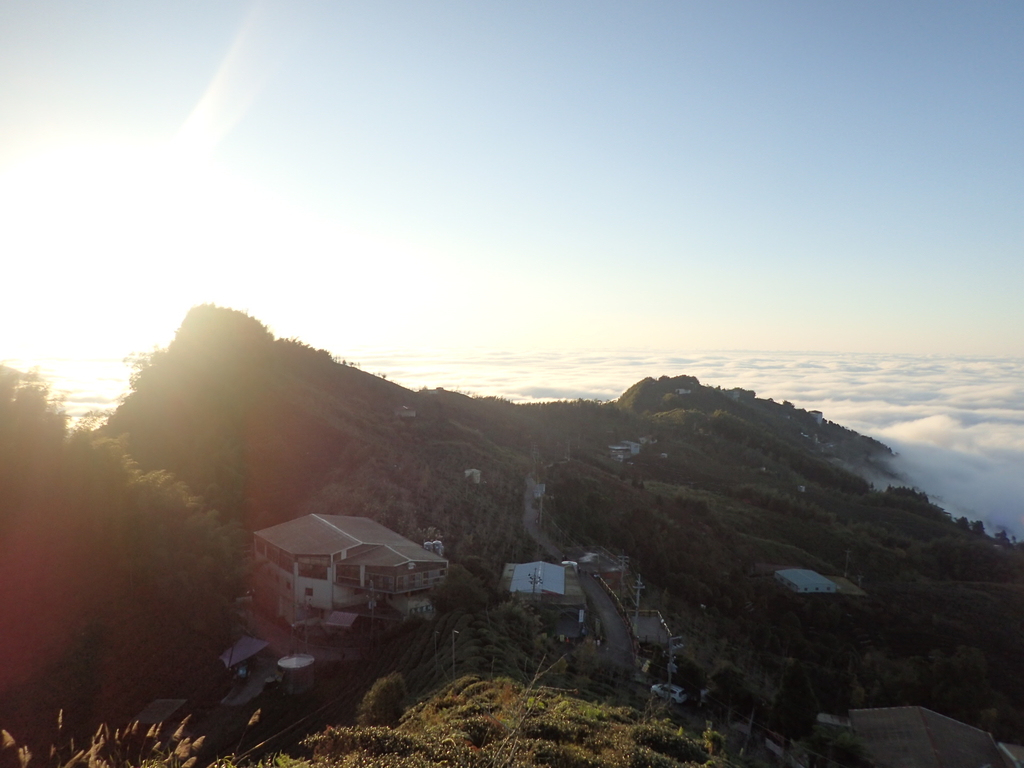 P1076404.JPG - 鹿谷  大崙山  觀霧亭之  暮光