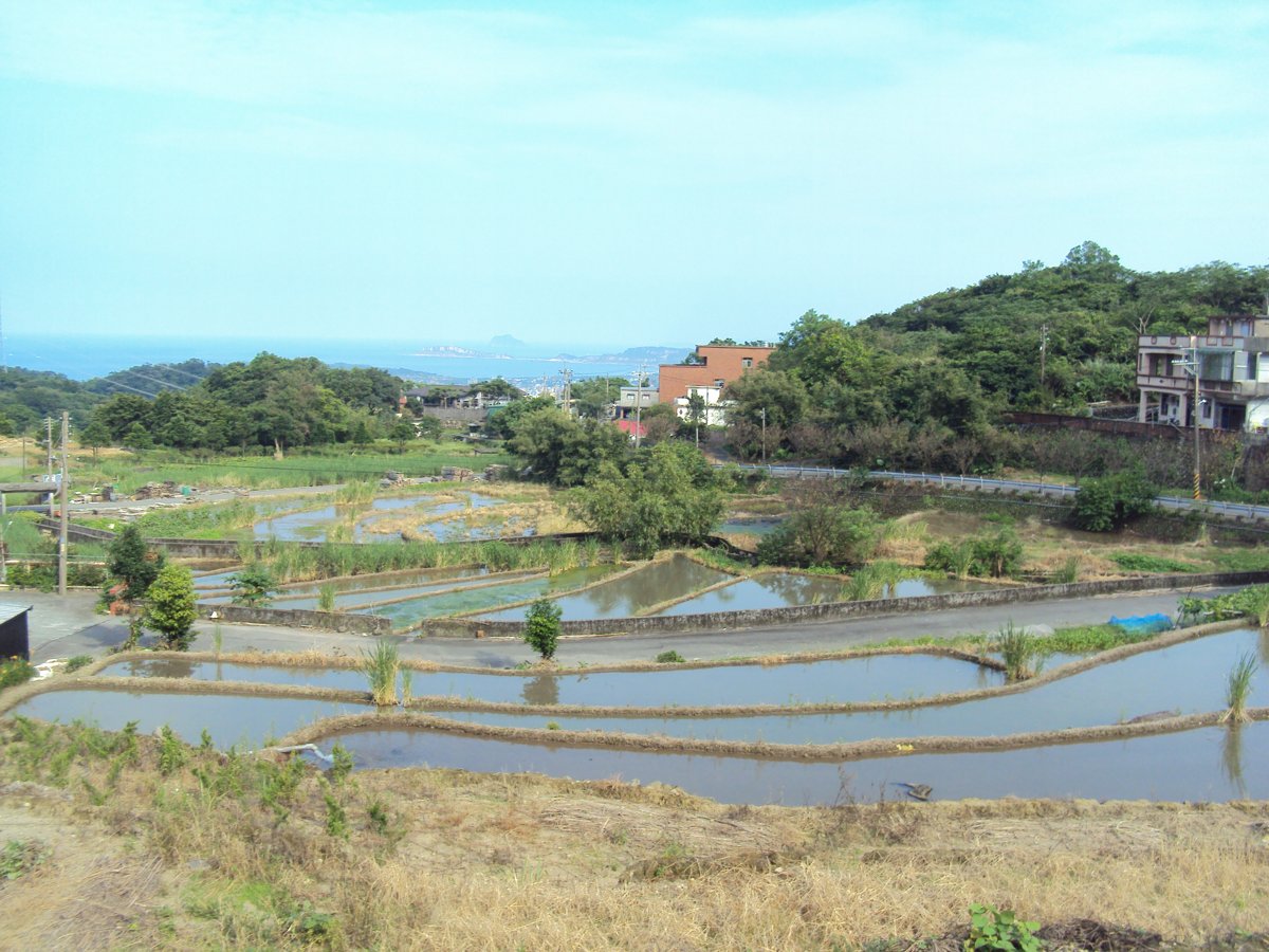 DSC09000.JPG - 金山  葵扇湖田野風光(一)